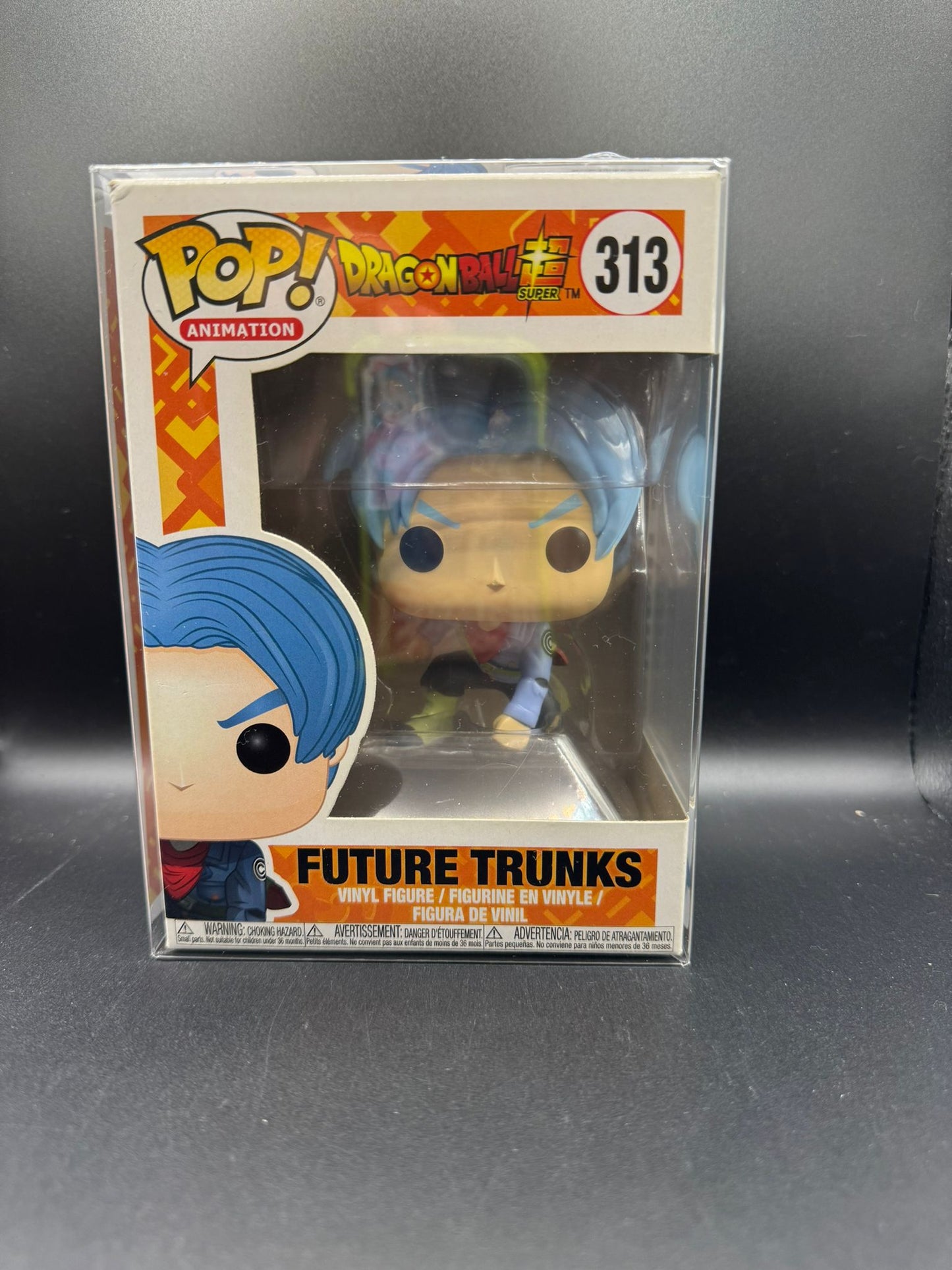 FUTURE TRUNKS - 313